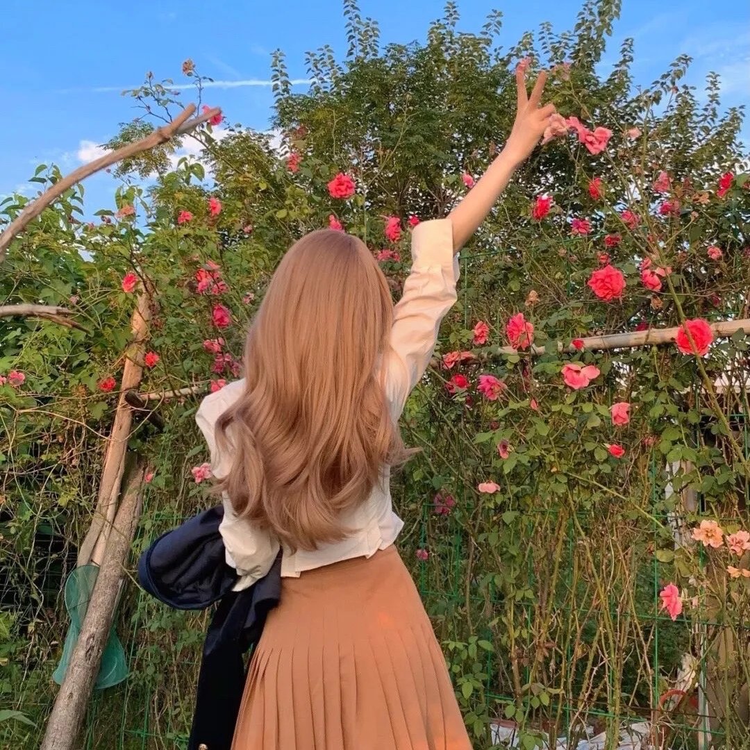 厉总的独家宠爱